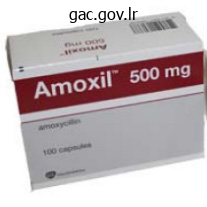 generic 250 mg amoxicillin